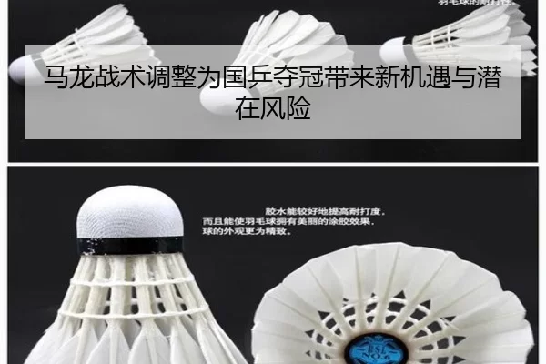 马龙战术调整为国乒夺冠带来新机遇与潜在风险